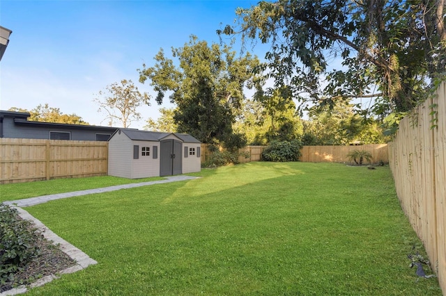 view of yard featuring a shed