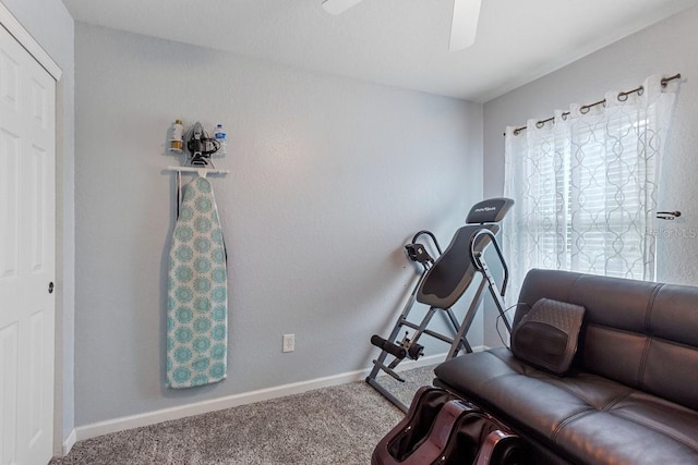 exercise area featuring ceiling fan and carpet floors