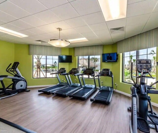 workout area with plenty of natural light, wood-type flooring, and a drop ceiling