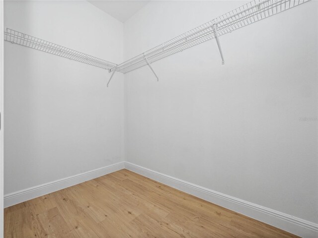 walk in closet featuring light wood-type flooring