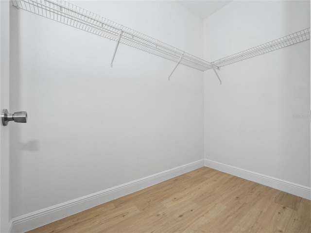 walk in closet with light hardwood / wood-style flooring