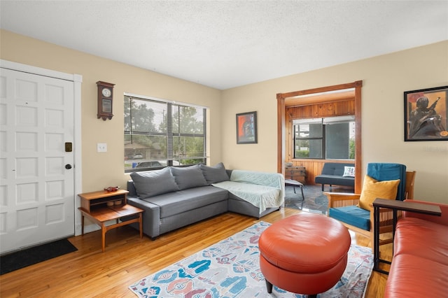 living room featuring a textured ceiling and light hardwood / wood-style flooring