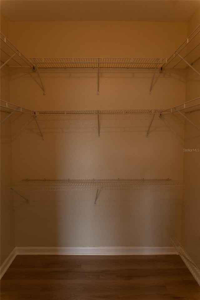 walk in closet featuring hardwood / wood-style floors