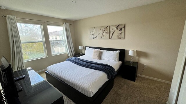 bedroom with carpet floors