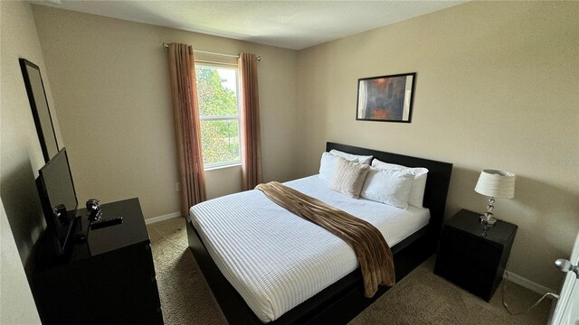 view of carpeted bedroom