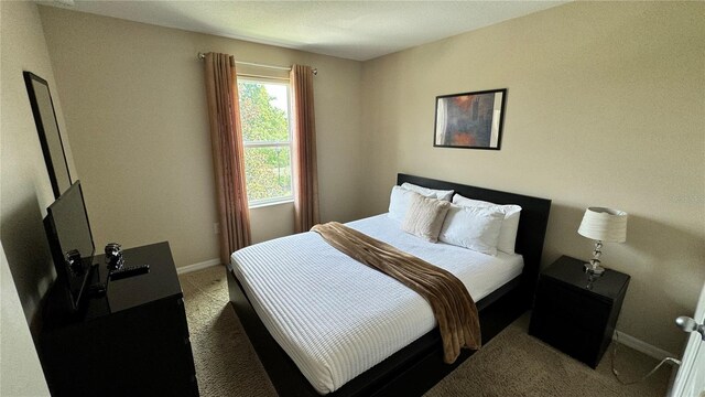 3167 Tocoa Cir, Kissimmee, FL 34746 - bedroom featuring baseboards and carpet