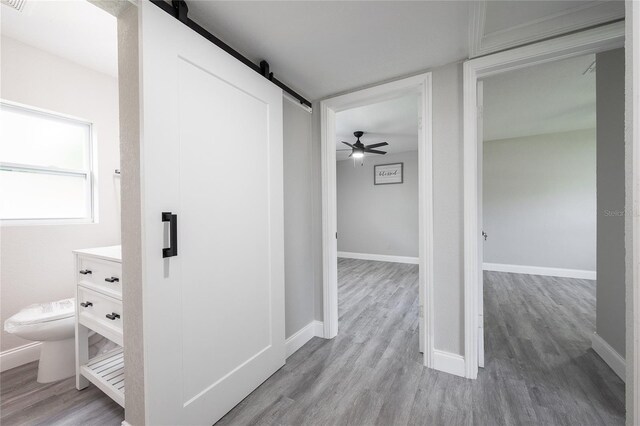 hallway with a barn door and light wood-type flooring