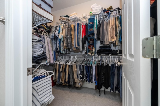 spacious closet with carpet