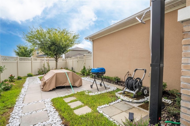 view of yard featuring a patio