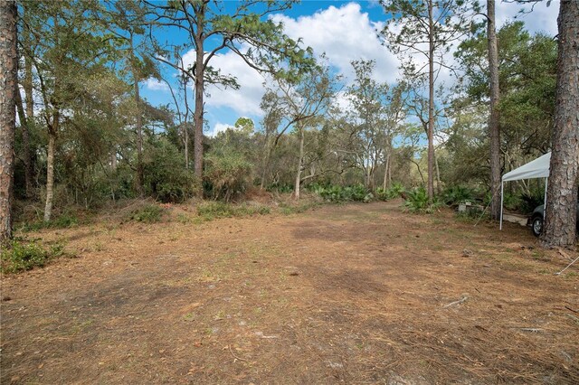 875 Gator Ln, Deltona, FL 32738 - photo 7