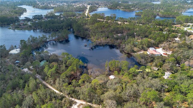 875 Gator Ln, Deltona, FL 32738 - photo 10