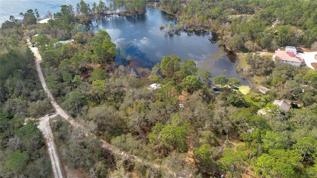 875 Gator Ln, Deltona, FL 32738 - photo 13