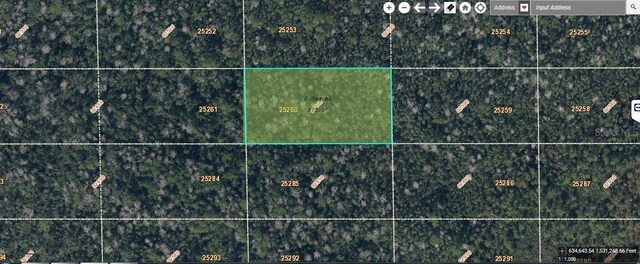 Dill Rd, Orlando, FL 32820 - photo 1