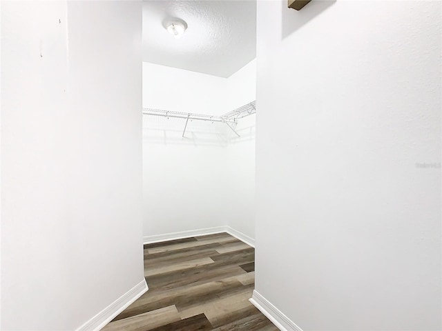 spacious closet featuring dark hardwood / wood-style flooring