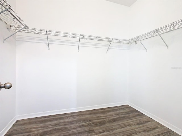 walk in closet featuring dark wood-type flooring