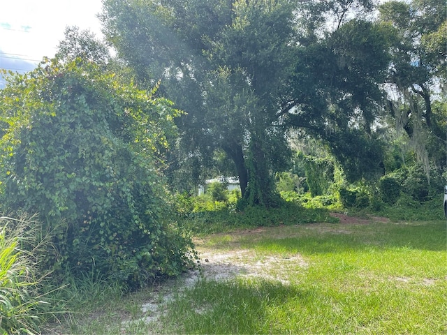 Charles Ave, Groveland FL, 34736 land for sale