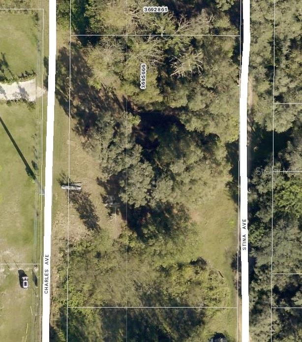 Listing photo 3 for Charles Ave, Groveland FL 34736