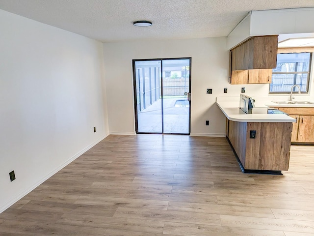 kitchen with light hardwood / wood-style flooring, a textured ceiling, plenty of natural light, and sink