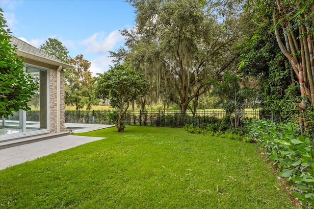 view of yard featuring a patio