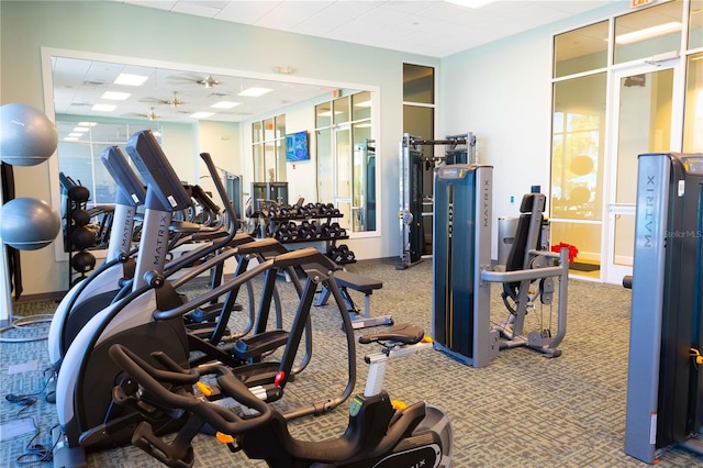 workout area with carpet floors