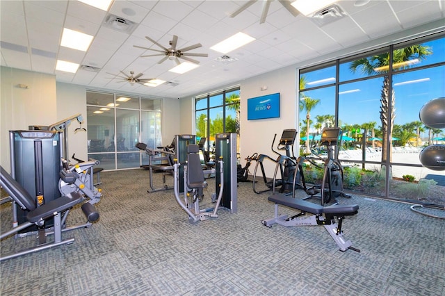 workout area with ceiling fan, carpet floors, and a drop ceiling