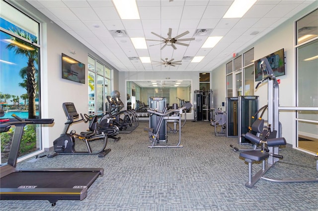 workout area with carpet flooring, ceiling fan, plenty of natural light, and a drop ceiling