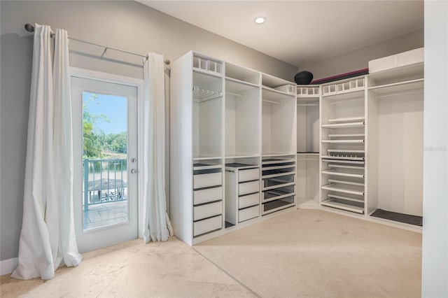 view of spacious closet