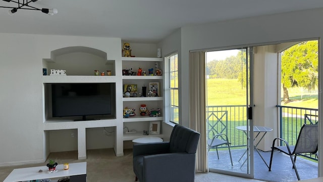 sitting room featuring carpet floors