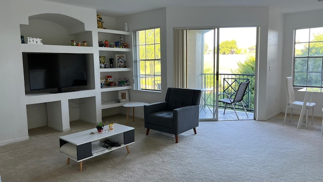 living area with carpet and built in shelves