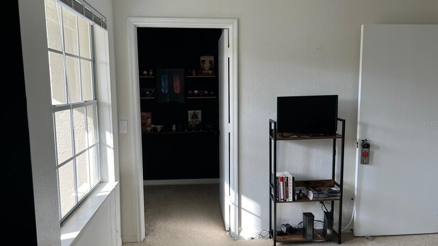 interior space with baseboards, carpet flooring, and plenty of natural light