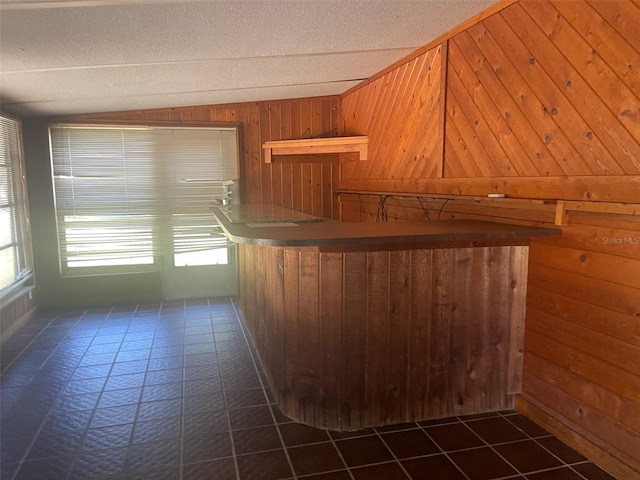 bar with dark tile patterned flooring, wood walls, and a healthy amount of sunlight