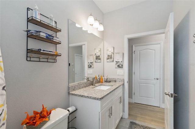 bathroom featuring toilet, hardwood / wood-style flooring, and vanity