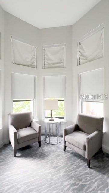 living area featuring a wealth of natural light