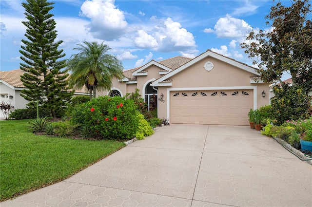 view of front of home featuring stucco siding, driveway, a garage, and a front lawn