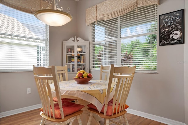 dining space featuring baseboards, healthy amount of natural light, and wood finished floors