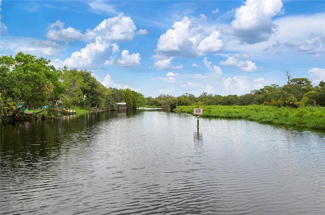 water view with a forest