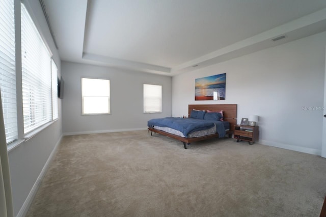 bedroom featuring carpet floors and a tray ceiling