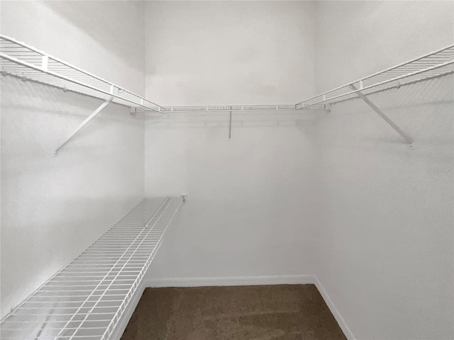 spacious closet featuring dark carpet