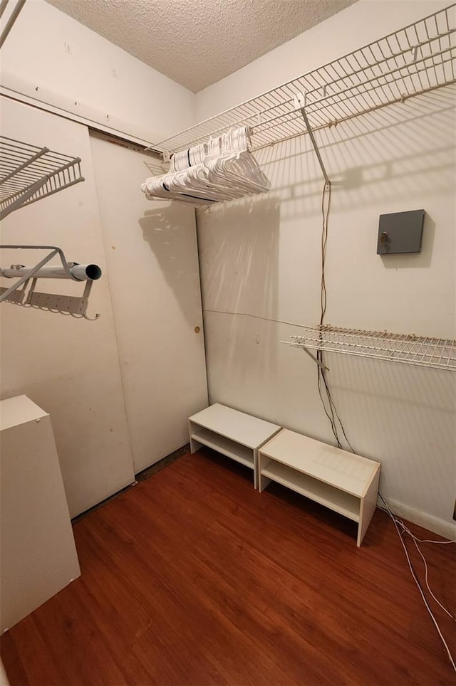 walk in closet featuring dark hardwood / wood-style flooring