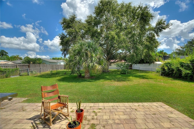 view of yard with a patio and a fenced backyard
