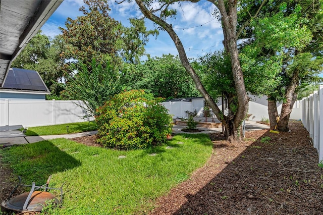 view of yard featuring a patio