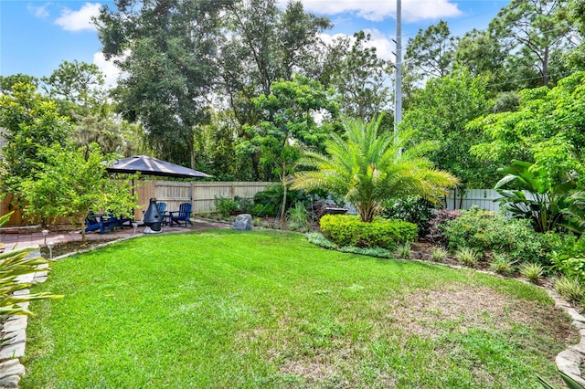 view of yard with a patio area