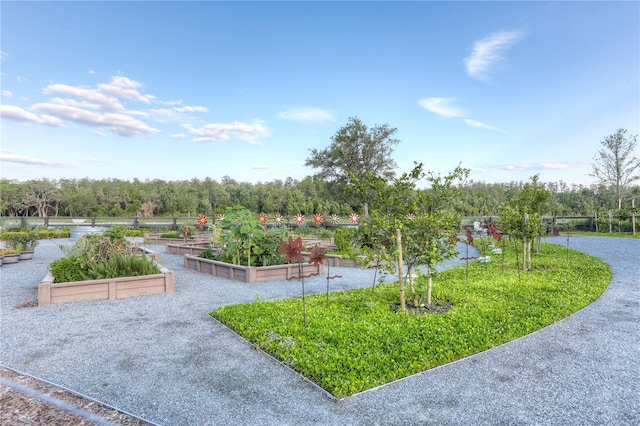 view of property's community featuring a vegetable garden