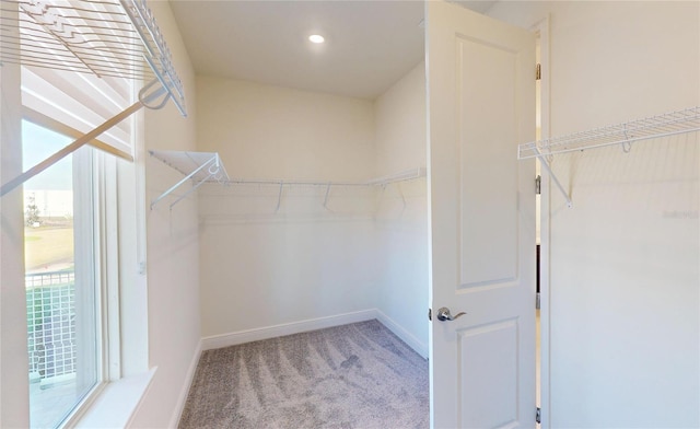 spacious closet featuring carpet floors