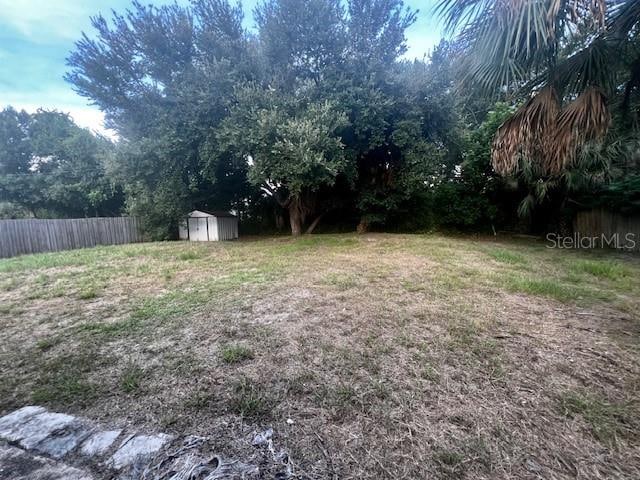 view of yard featuring a shed