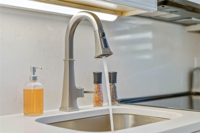 room details featuring sink