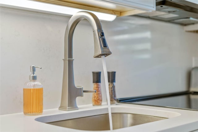 interior details with a sink