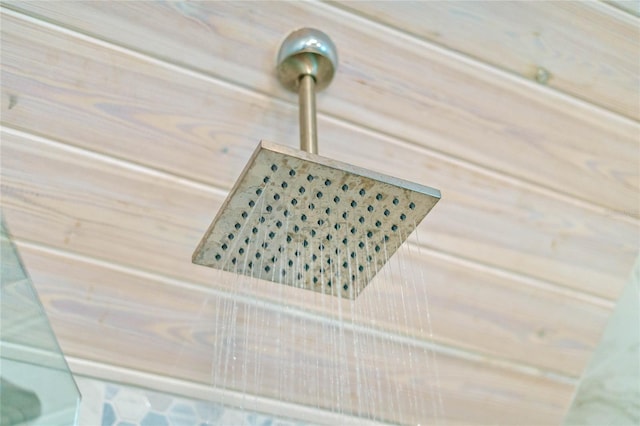 interior details featuring tiled shower