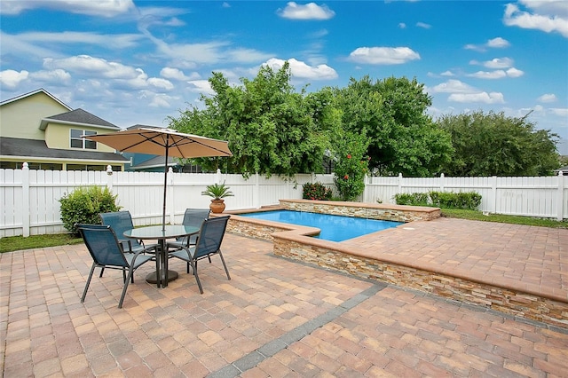 view of pool with a patio