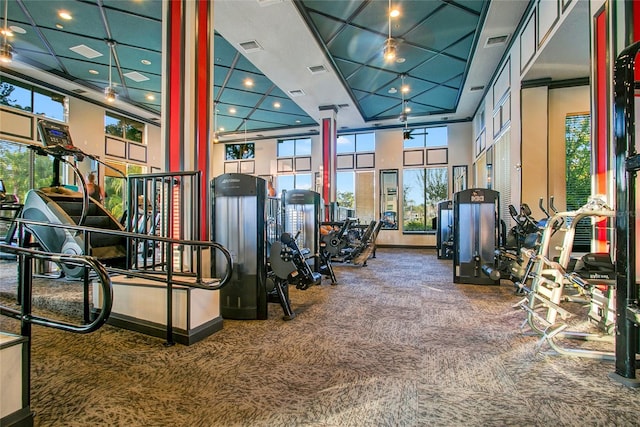 exercise room with a healthy amount of sunlight and carpet flooring